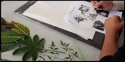 Drawing Workshop - Pens and Pencils December 10th